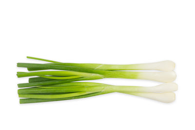 GREEN ONIONS