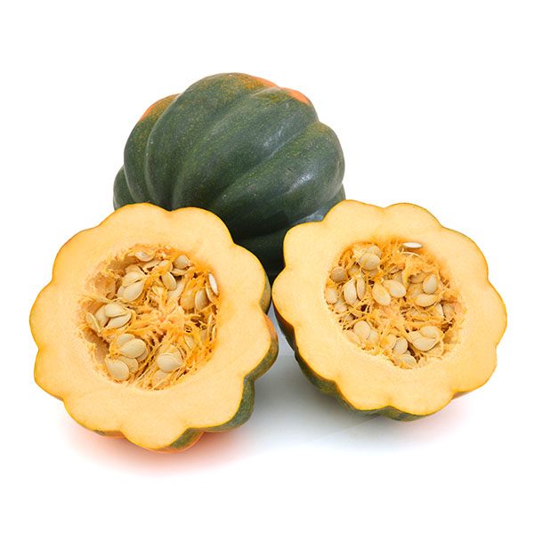 SQUASH ACORN 1 ea