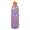 GATORADE Frost Energy Drink 710ml