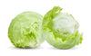 Cello Iceberg Lettuce