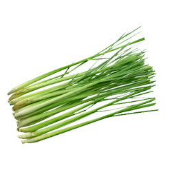 EVERGREEN LEMONGRASS 1 ea
