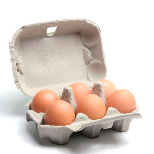 MAPLE HILL Half Dozen Organic Eggs