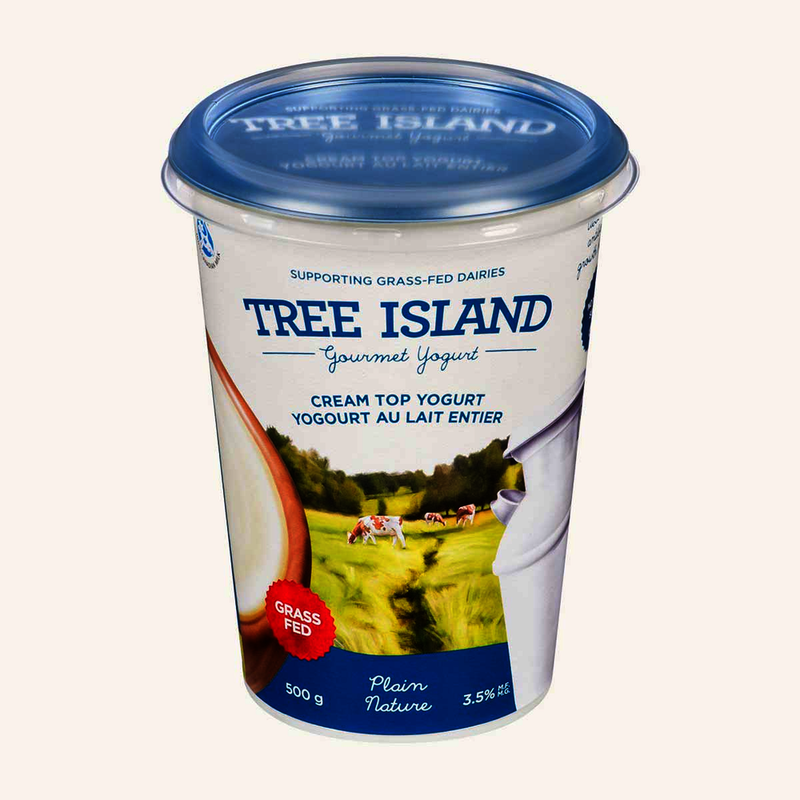 TREE ISLAND Plain Cream Top Yogurt 500g