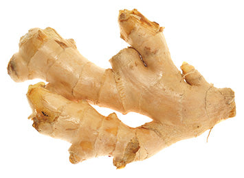 GINGER