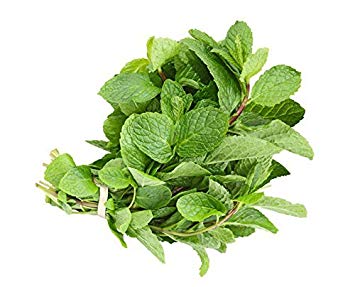 ROOTS Organic Mint 28g