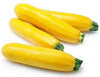 YELLOW ZUCCHINI 1 kg