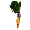 Cal-Organic Farms Organic Rainbow Bunch Carrots, 1 bunch