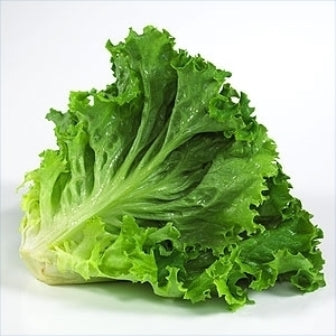 LETTUCE GREEN LEAF 1 ea