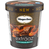 Haagen-Dazs Salted Caramel Brownie Ice Cream, 500 mL