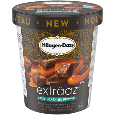 Haagen-Dazs Salted Caramel Brownie Ice Cream, 500 mL