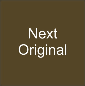 NEXT ORIGINAL KS CARTON 20's