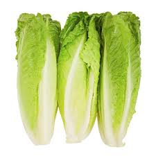 ROMAINE HEARTS 3 PACK REGULAR 1 ea