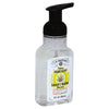 J.R. Watkins Foaming Aloe & Green Tea Hand Soap, 266 mL