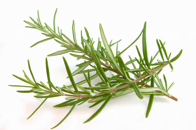 GREENWAY FARMS ROSEMARY 28G 1 ea