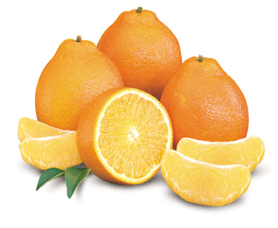 TANGELO MINNEOLLA 1 kg