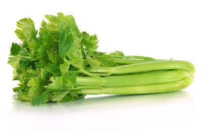 CELERY BUNCH