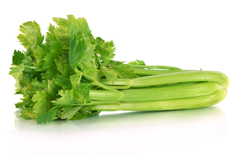 CELERY BUNCH