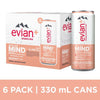 EVIAN PLUS Grapefruit & Basil 6x330ml