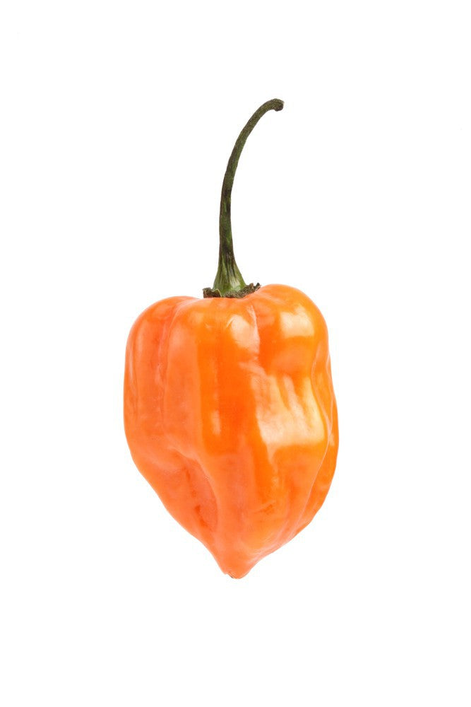 PEPPERS HOT HABANERO 1 kg