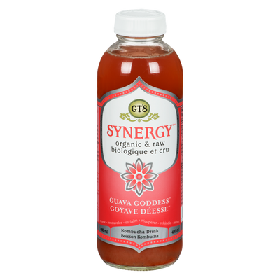 GT'S Synergy Organic Guava Goddess Kombucha Drink, 480 mL