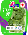 UP VERTICAL STAND UP 142G 1 ea