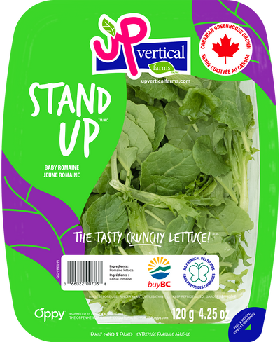 UP VERTICAL STAND UP 142G 1 ea
