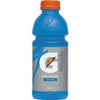 GATORADE Cool Blue 591ml