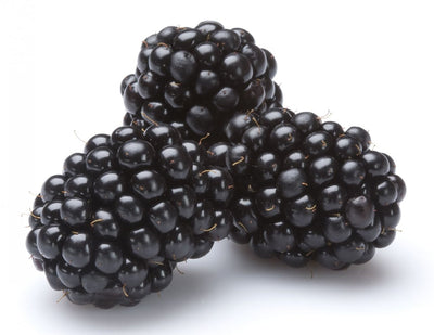 USDA Produce Blackberries