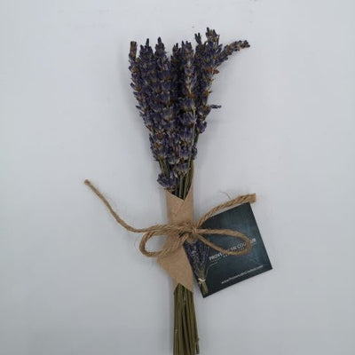 Lavander, 1 ct