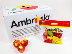 BAGGED AMBROSIA 3LB 1 ea
