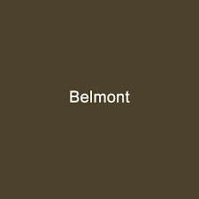 BELMONT SELECT 20 ea