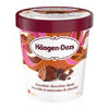 HAAGEN-DAZS CHOCOLATE CHUNK 450 ml