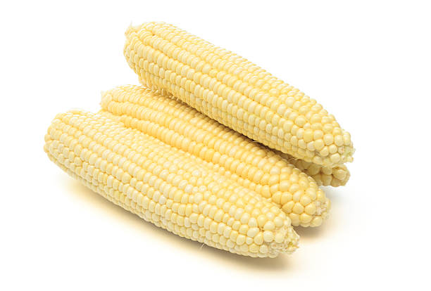 WHITE CORN 1 ea