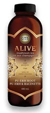 GT'S ALIVE MUSHROOM ROOT BEER 480 ml