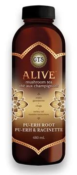 GT'S ALIVE MUSHROOM ROOT BEER 480 ml