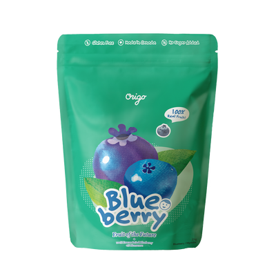 Origo Blueberry Freeze Dried Fruits, 1 ct