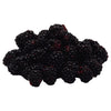 DRISCOLL'S Blackberries 170g