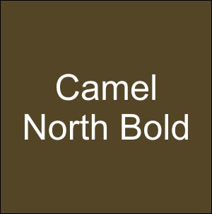 CAMEL North Bold King 20's