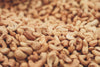 BULK CASHEWS RAW