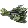 BLACK KALE 1 kg