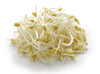 BEAN SPROUTS