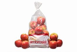 Ambrosia Apple, 1 ct
