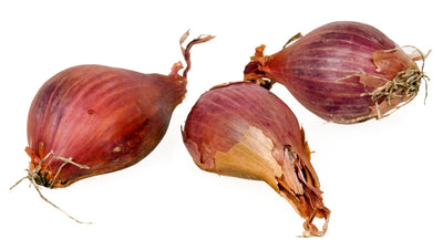 SHALLOTS