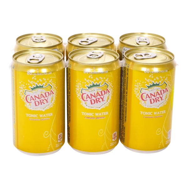 CANADA DRY Tonic Water 222ml 6 Pack