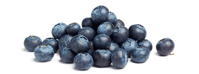 Blueberries, 20 ct