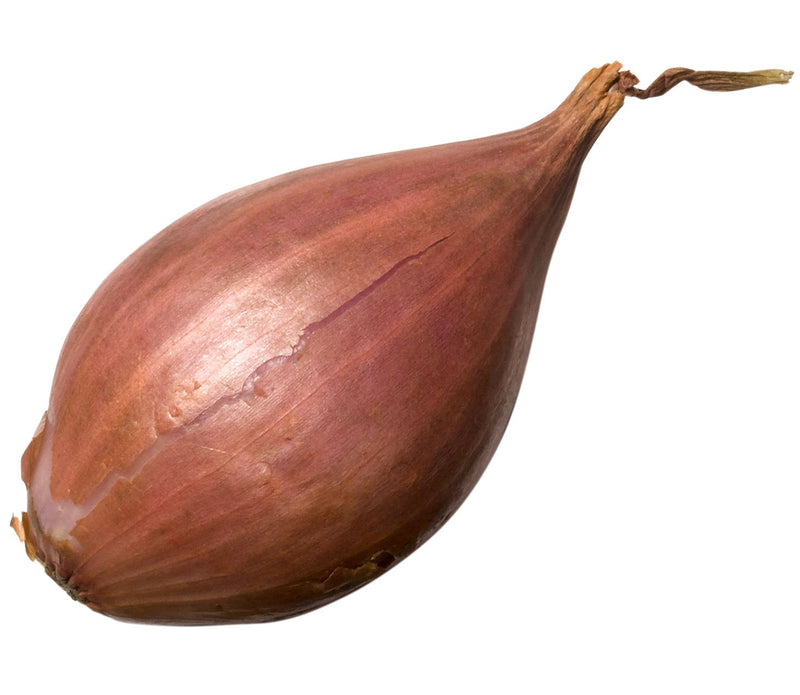 Shallot, 1 ct
