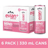 EVIAN PLUS Raspberry & Ginseng 6x330ml