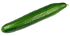 CUCUMBER LONG ENGLISH