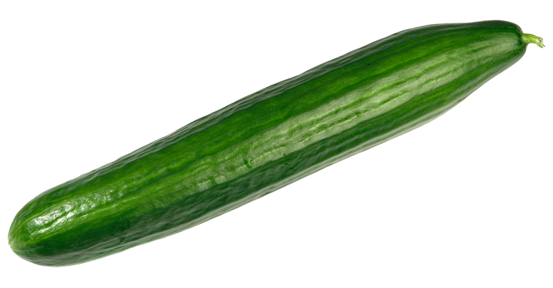 CUCUMBER LONG ENGLISH