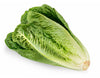 Romaine Lettuce, 1 ct